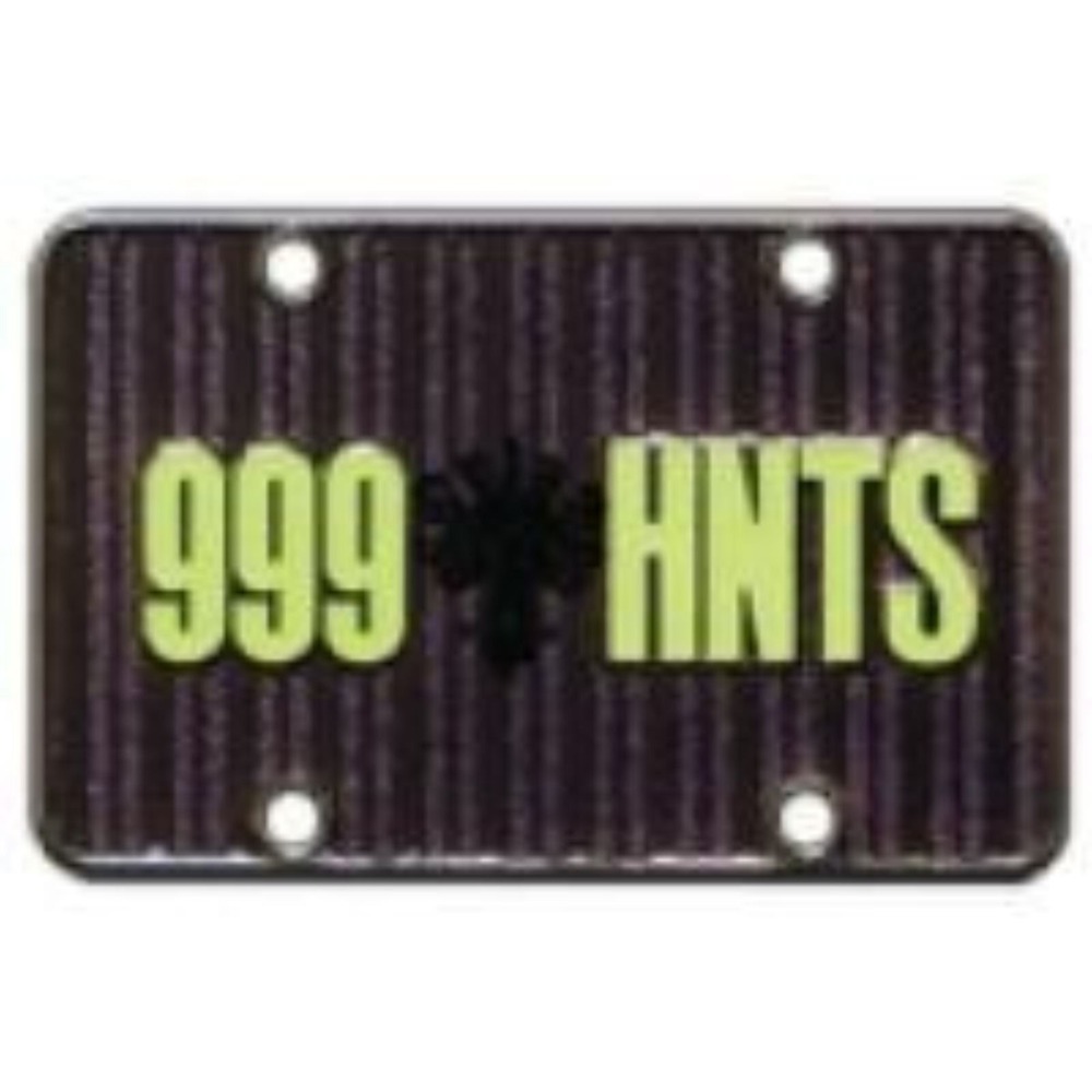 Disney Pin Haunted Mansion License Plate 999 HNTS Gear Up For Adventure 91083